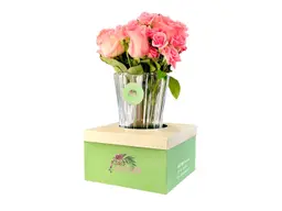 Natural flower vase in a box